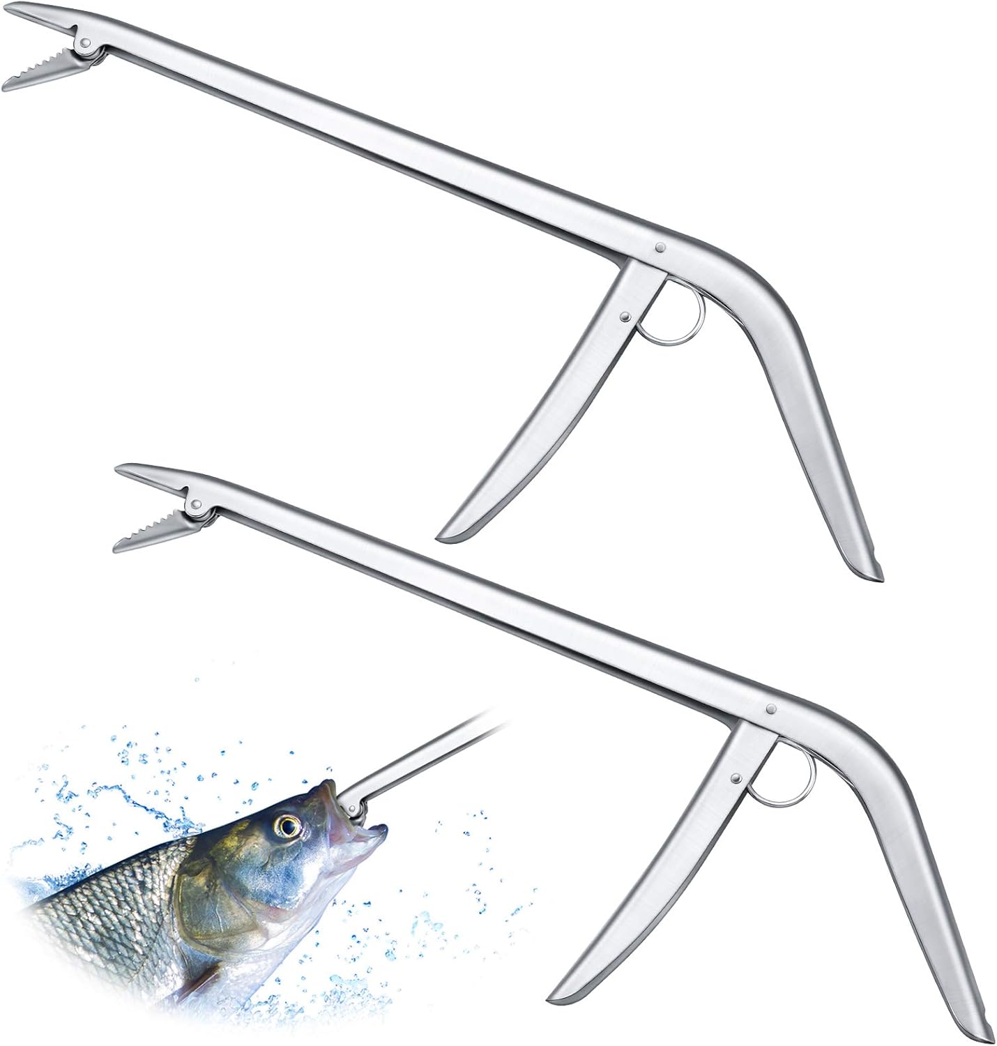 2 Pieces Stainless Steel Fish  - Fishing Hook recensie en prijs